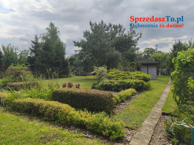 ROD "Słonecznik" Tarnów ul. Ostrogskich - 6