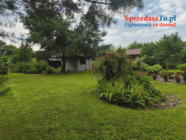 ROD "Słonecznik" Tarnów ul. Ostrogskich - 7