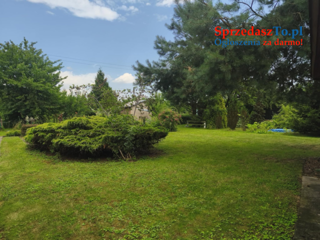 ROD "Słonecznik" Tarnów ul. Ostrogskich - 8