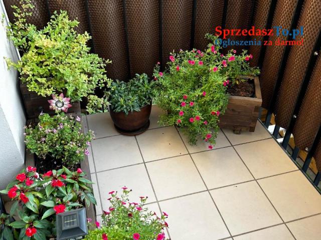 Sprzedam mieszkanie - 16