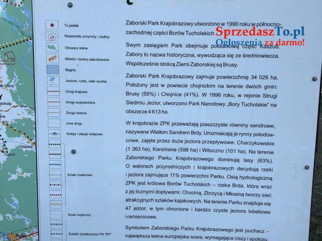 Domek na wynajem - Męcikał cisza, spokój, las, odpoczynek - 8