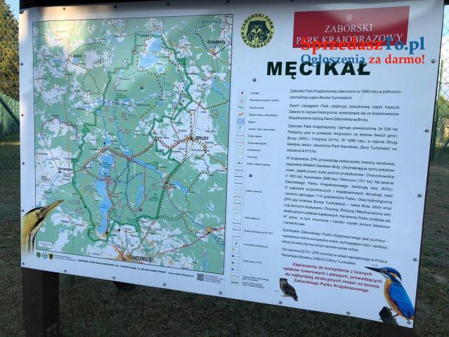 Domek na wynajem - Męcikał cisza, spokój, las, odpoczynek - 11