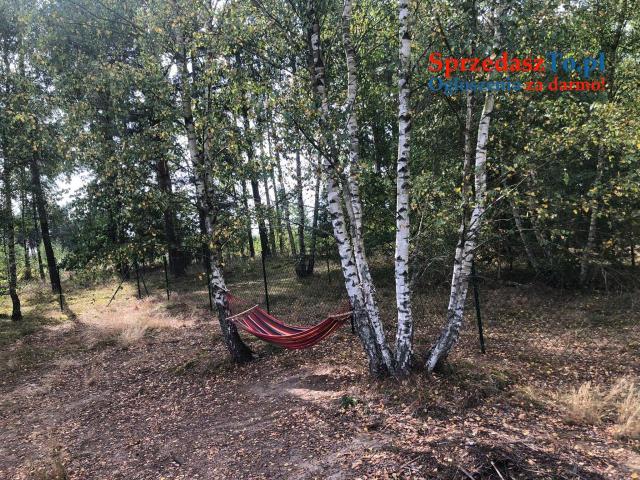 Domek na wynajem - Męcikał cisza, spokój, las, odpoczynek - 20