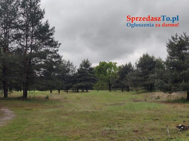Działki nad jeziorem Łukcze