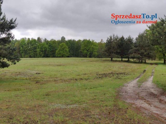Działki nad jeziorem Łukcze