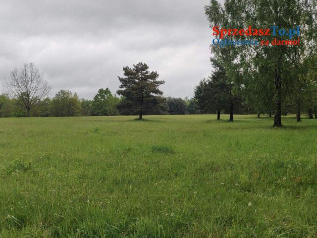 Działki nad jeziorem Łukcze - 7