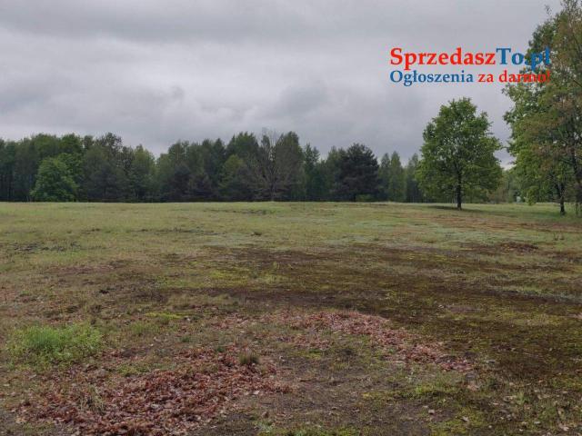 Działki nad jeziorem Łukcze - 8