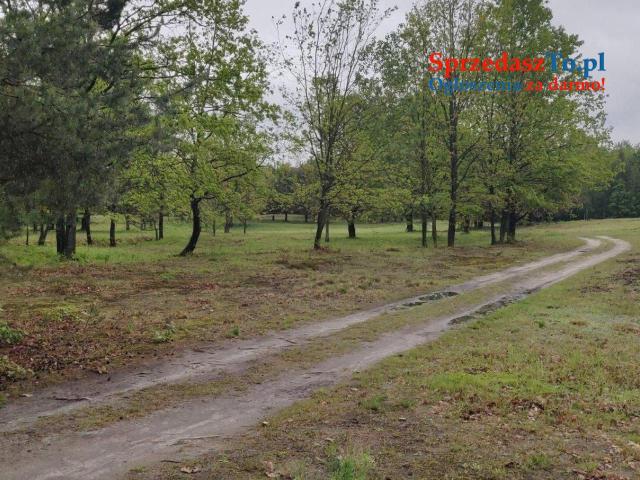 Działki nad jeziorem Łukcze - 9