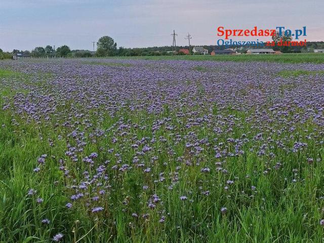 Działki nad jeziorem Łukcze - 11