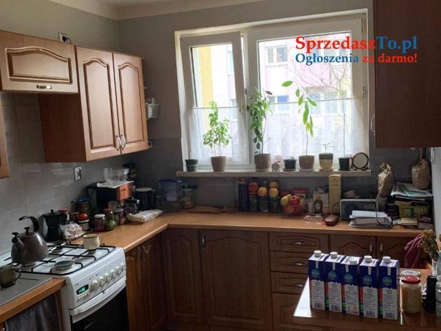 Mieszkanie w centrum miasta. - 8