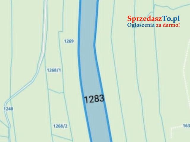 Las - 6 hektarów