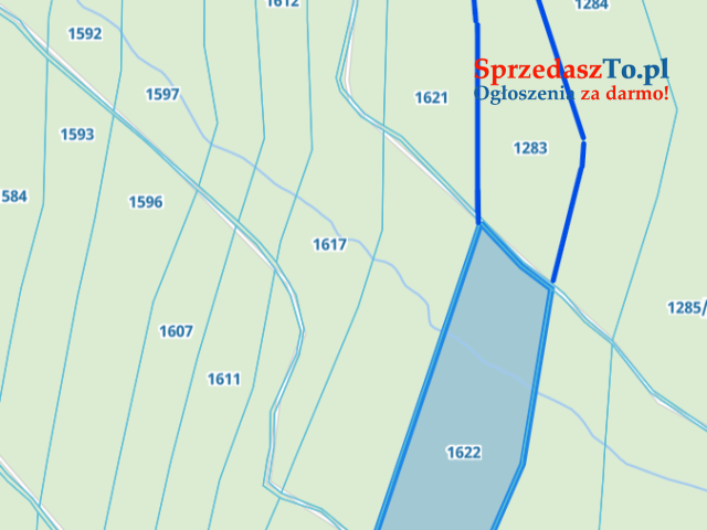 Las - 6 hektarów