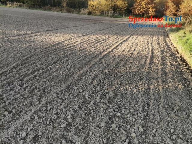 Działka inwestycyjna Bodzanów