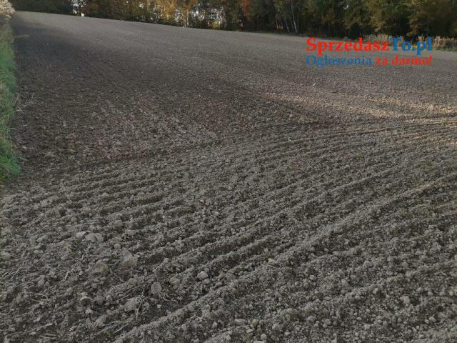 Działka inwestycyjna Bodzanów