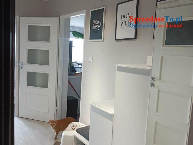 Mieszkanie 48m2 - 13