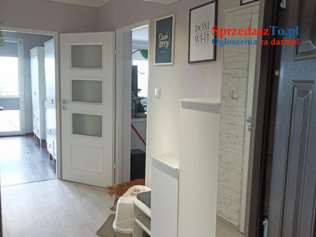 Mieszkanie 48m2 - 14