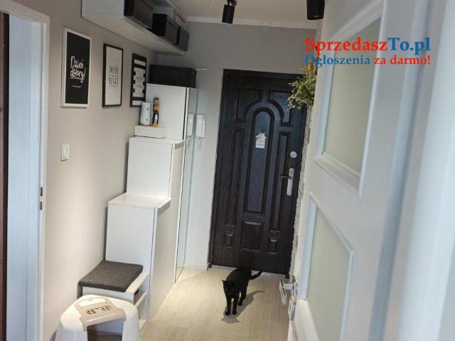 Mieszkanie 48m2 - 16