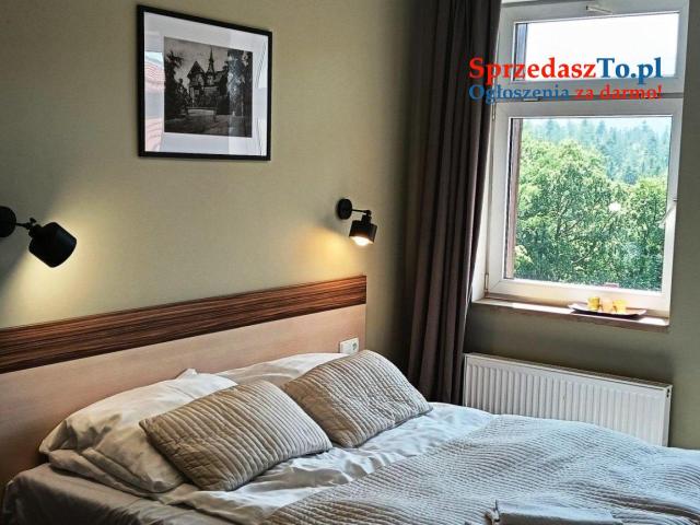 Sprzedam Piękną Willę z apartamentami na wynajem w centrum
