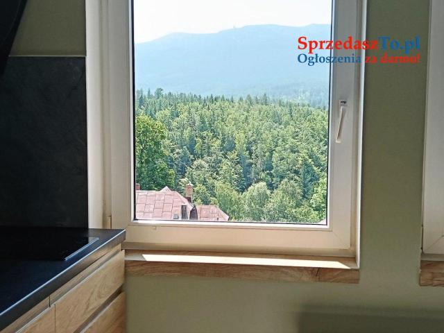 Sprzedam Piękną Willę z apartamentami na wynajem w centrum - 7