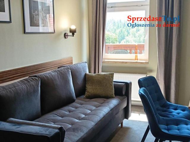 Sprzedam Piękną Willę z apartamentami na wynajem w centrum - 11