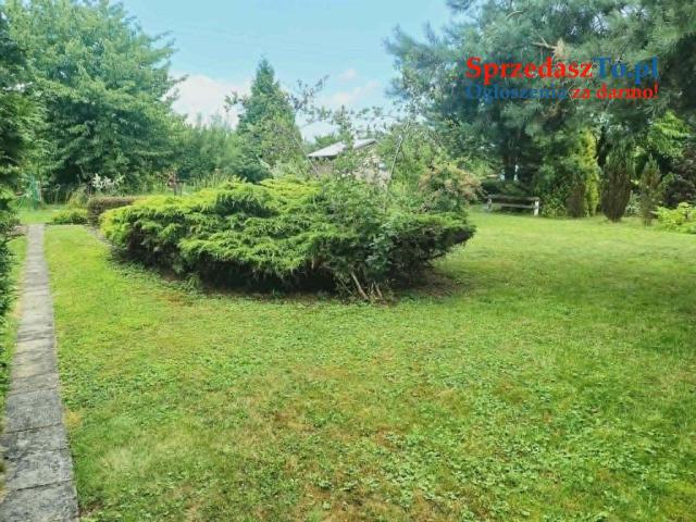 ROD "Słonecznik" Tarnów ul. Ostrogskich - 9