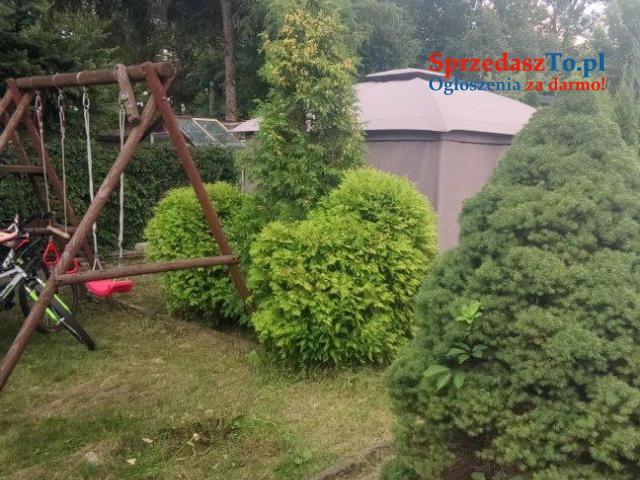 Sprzedam działkę ROD Hutnik w Jaworznie