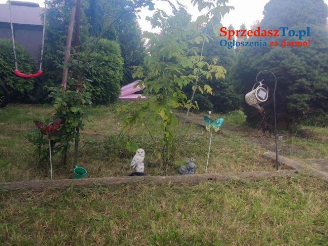 Sprzedam działkę ROD Hutnik w Jaworznie - 6