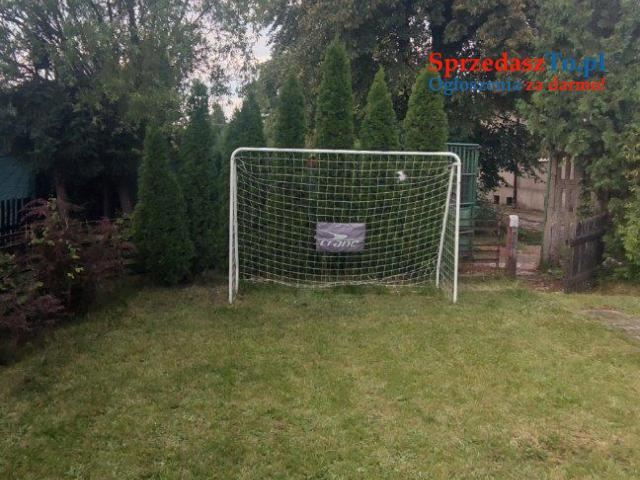 Sprzedam działkę ROD Hutnik w Jaworznie - 8