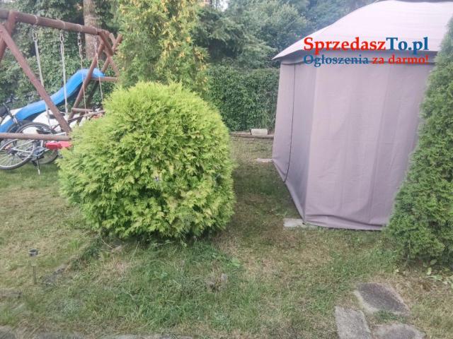 Sprzedam działkę ROD Hutnik w Jaworznie - 9