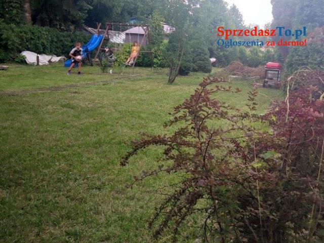 Sprzedam działkę ROD Hutnik w Jaworznie - 10