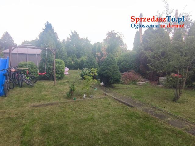 Sprzedam działkę ROD Hutnik w Jaworznie - 12