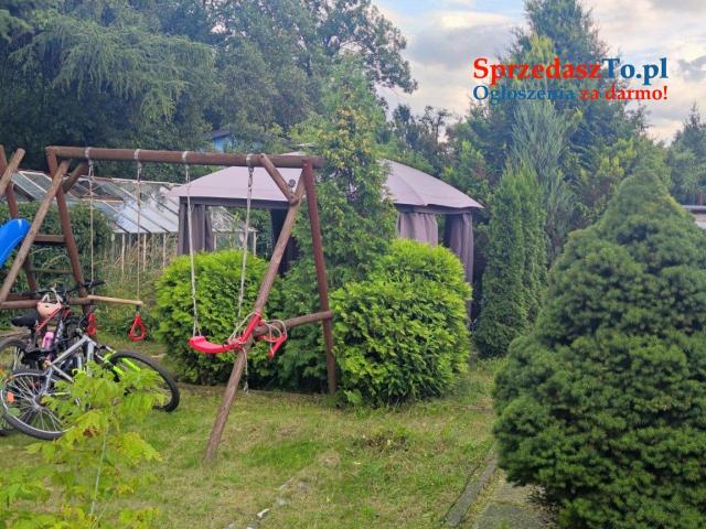 Sprzedam działkę ROD Hutnik w Jaworznie - 17