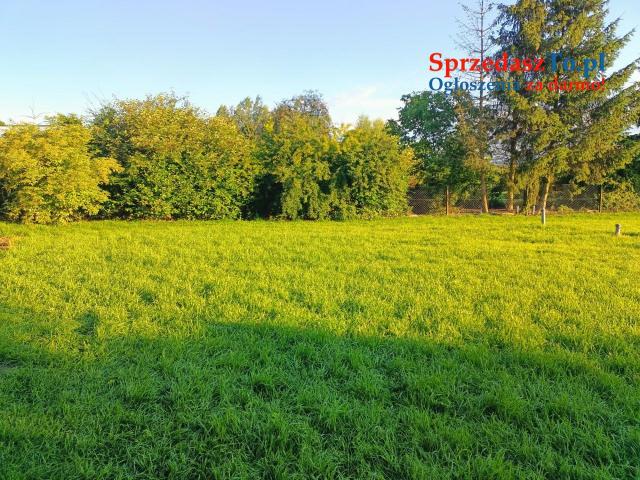 Sprzedam gospodarstwo rolne Dom pobudynki - 6