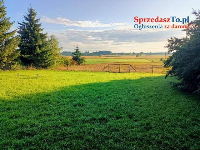 Sprzedam gospodarstwo rolne Dom pobudynki - 7