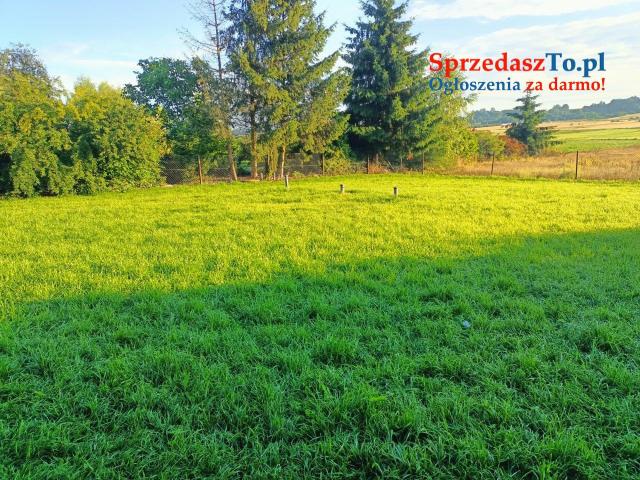 Sprzedam gospodarstwo rolne Dom pobudynki - 8