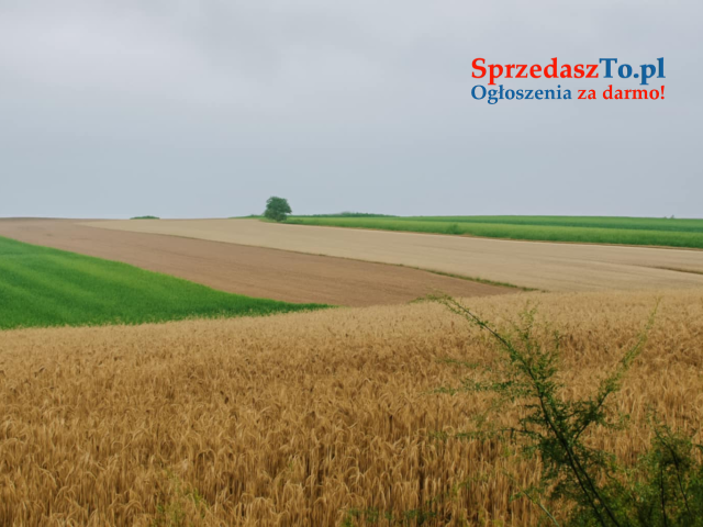 Sprzedam dom z działką rolna