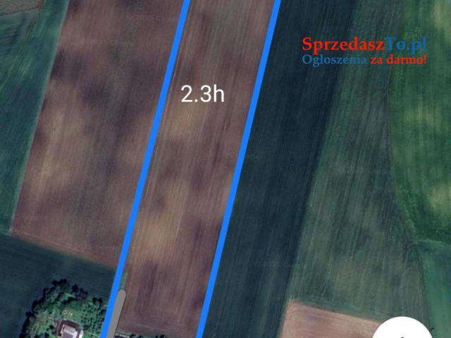 Sprzedam dom z działką rolna