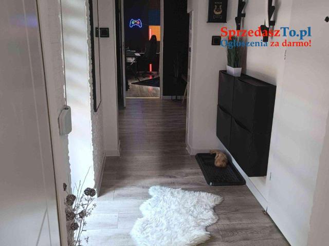 Dom z małym ogródkiem. - 8