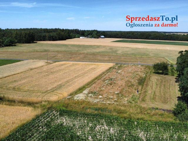 Działka Skęczniew