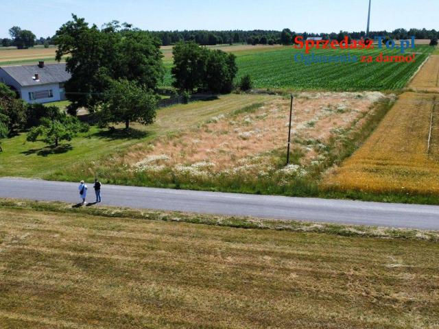 Działka Skęczniew - 6