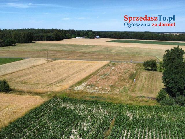 Działka Skęczniew - 8