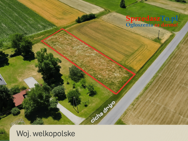 Działka Skęczniew - 7