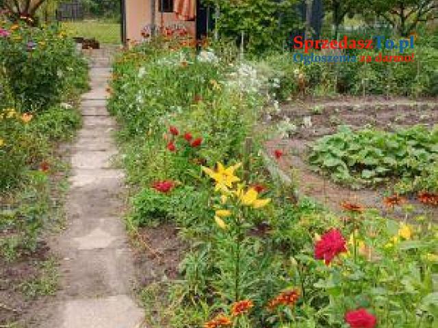 Działka rekreacyjna - 8