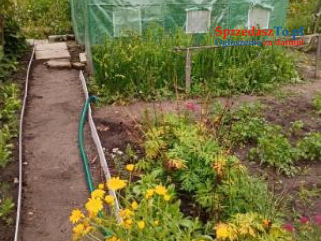 Działka rekreacyjna - 9