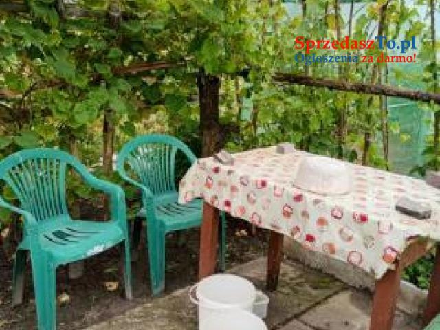 Działka rekreacyjna - 10