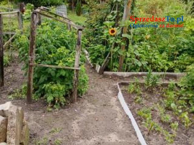 Działka rekreacyjna - 11