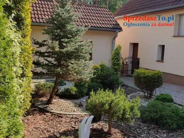 Dom w miejscowości Odrowąż woj. Opolskie - 7