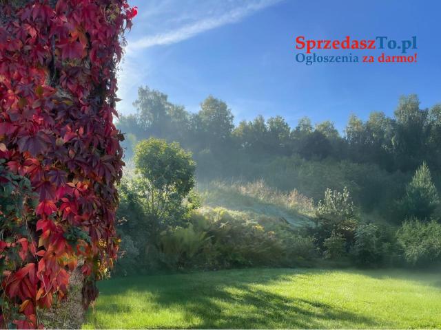 Dom z ogrodem - do zamieszkania - 15