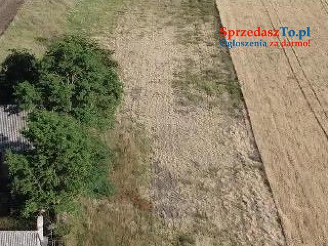 SPRZEDAŻ GRUNTU – JÓZEFOWO, GMINA SŁUPCA, POWIAT SŁUPECKI