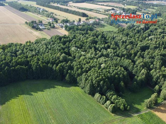 SPRZEDAŻ GRUNTU – JÓZEFOWO, GMINA SŁUPCA, POWIAT SŁUPECKI